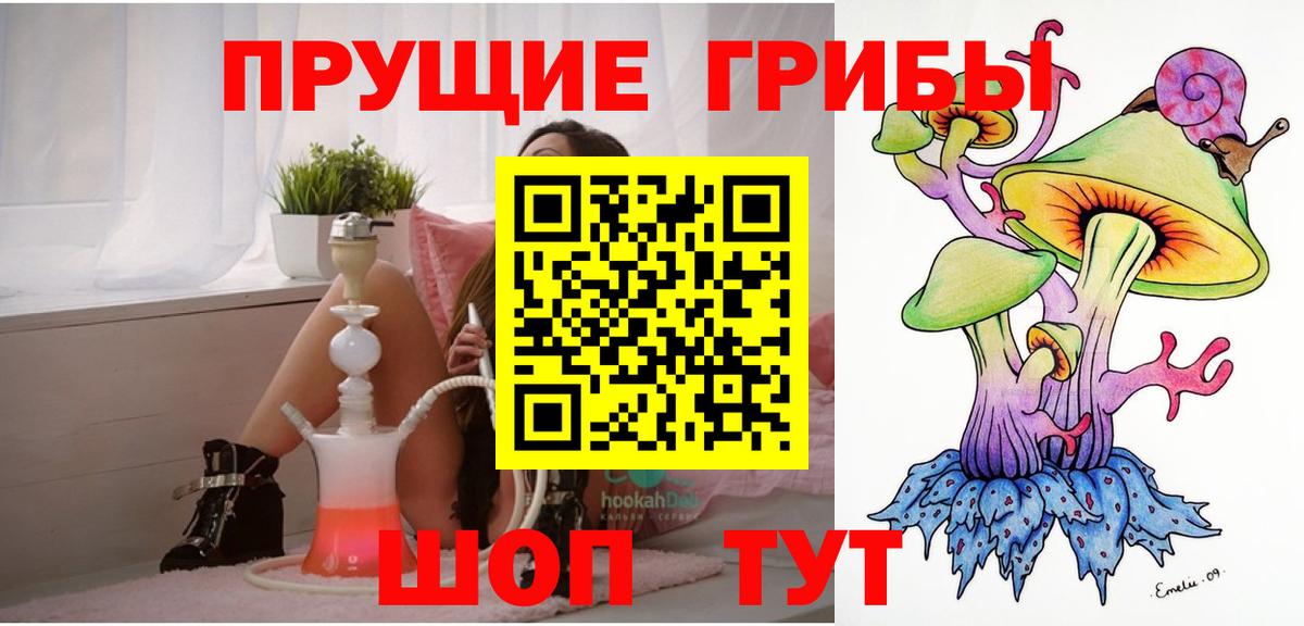 где можно купить   Вход с VPN  Лесной  Галлюциногенные грибы прущие грибы 